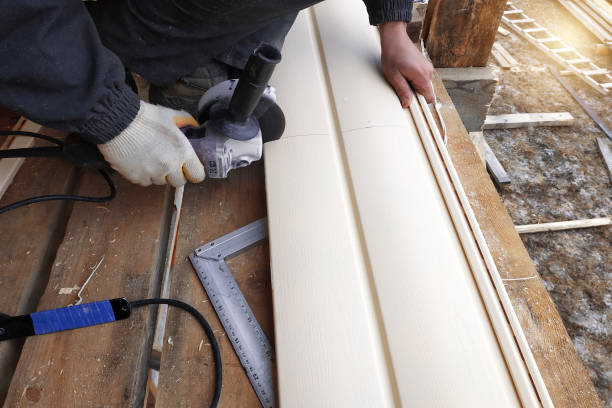 Best Steel Siding Installation  in Beesleys Point, NJ